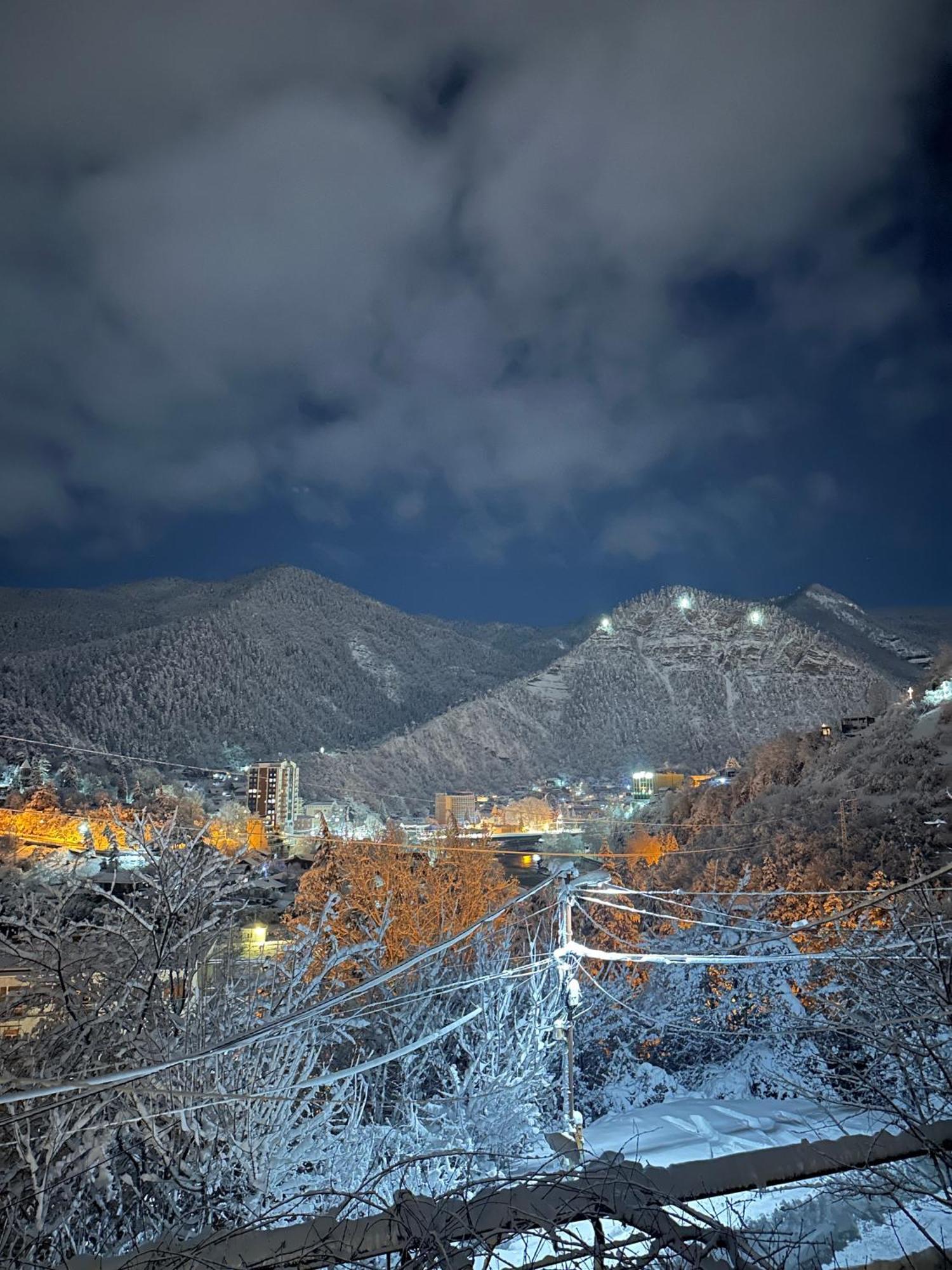 Woodland Borjomi Hotel Exterior foto